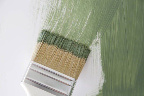 Best Mold Odor Removal Services  in Langdon, ND